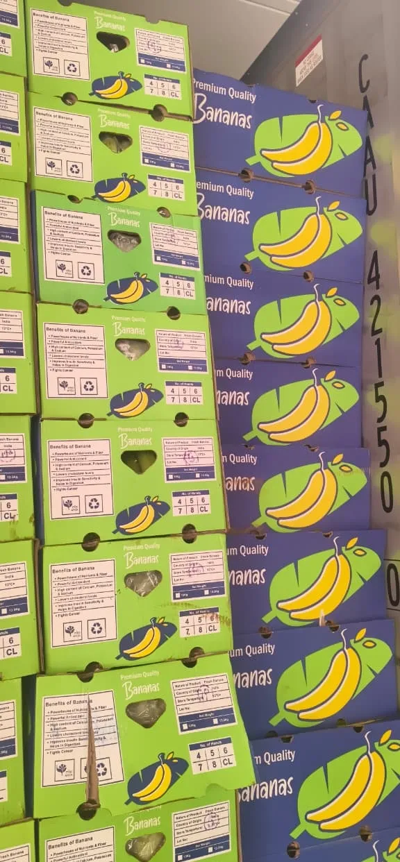 Cartons of fresh Cavendish bananas stacked inside a reefer container
