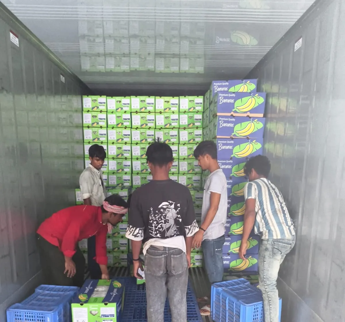 Cartons of fresh Cavendish bananas stacked inside a reefer container